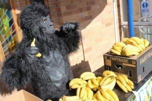 Fairtrade4